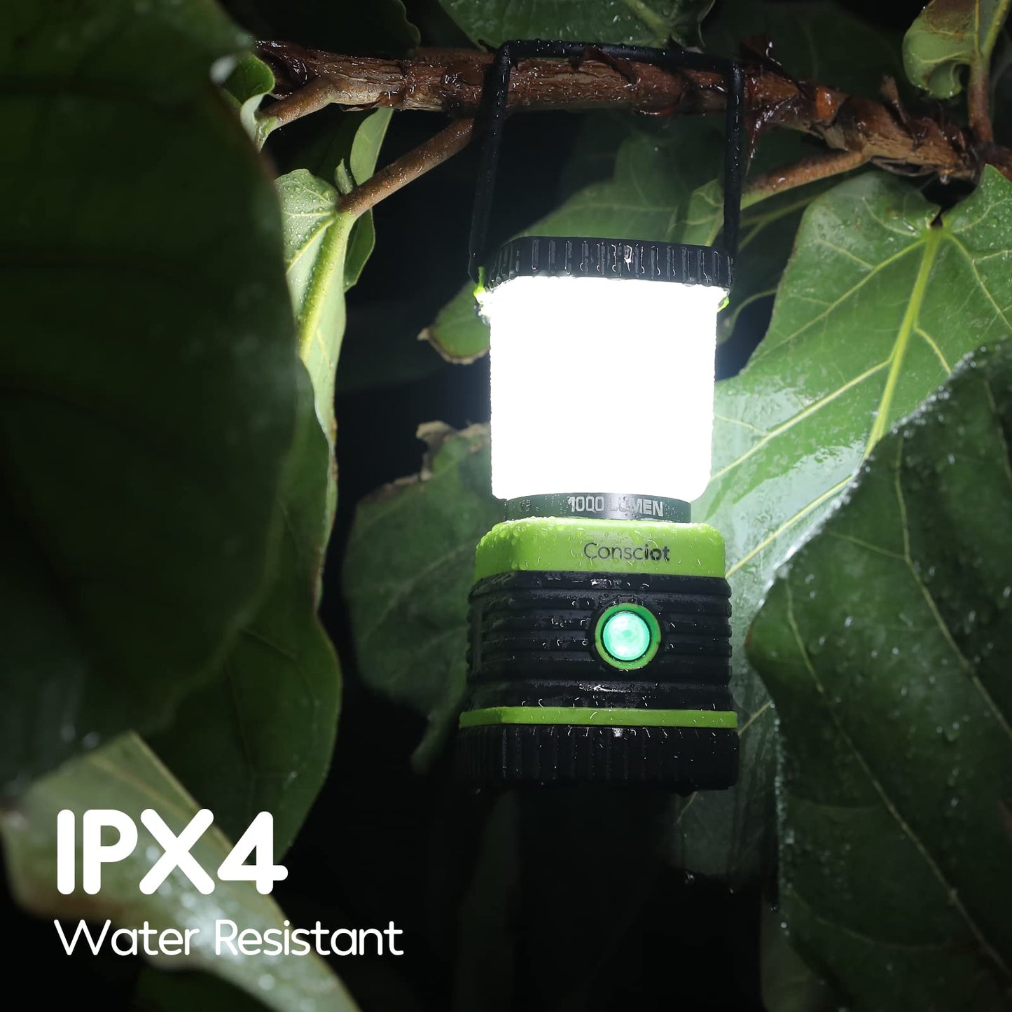 LED Lantern, Battery Powered